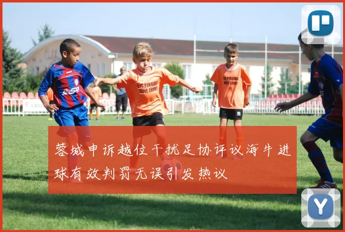 蓉城申诉越位干扰足协评议海牛进球有效判罚无误引发热议