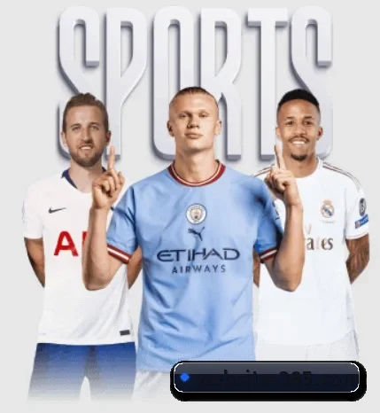 五大体育板块覆盖,从比分到直播全覆盖 - 多运动项目内容板块(bet365)